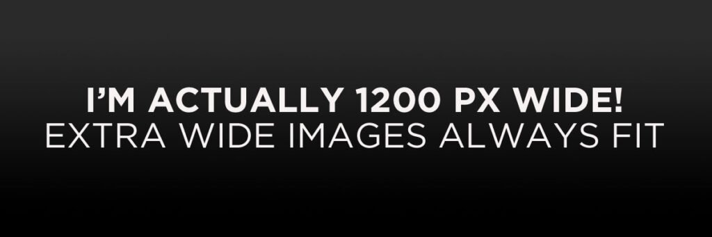 Content Placeholder 04 1024x341